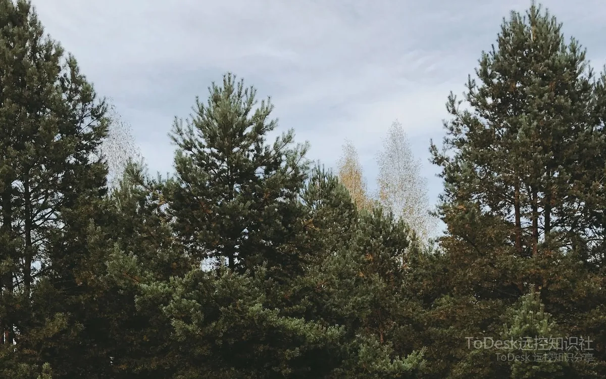 ToDesk远程控制使用场景