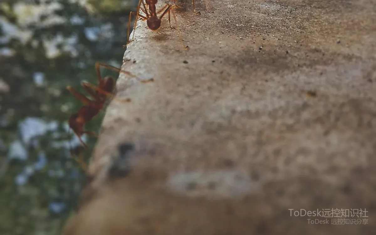 ToDesk远程控制使用场景